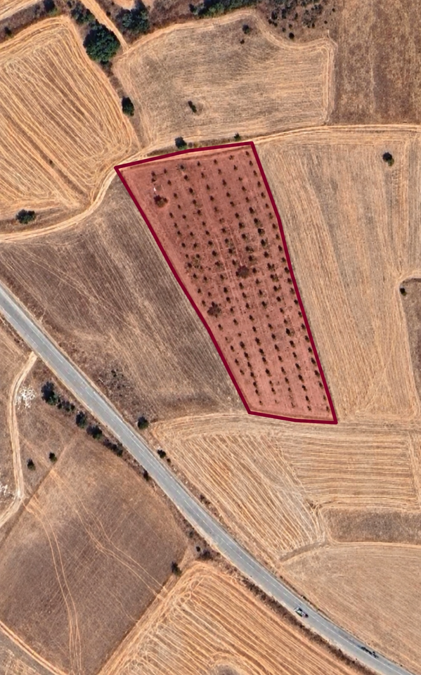 KEPSUT MAHMUDİYE’DE 5\.100 m² \| SATILIK TARLA — 3