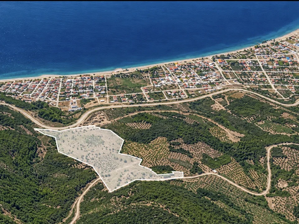 BURSA GEMLİK'TE 75.000 m² BÜYÜK ÖLÇEKLİ ARAZİ — 2